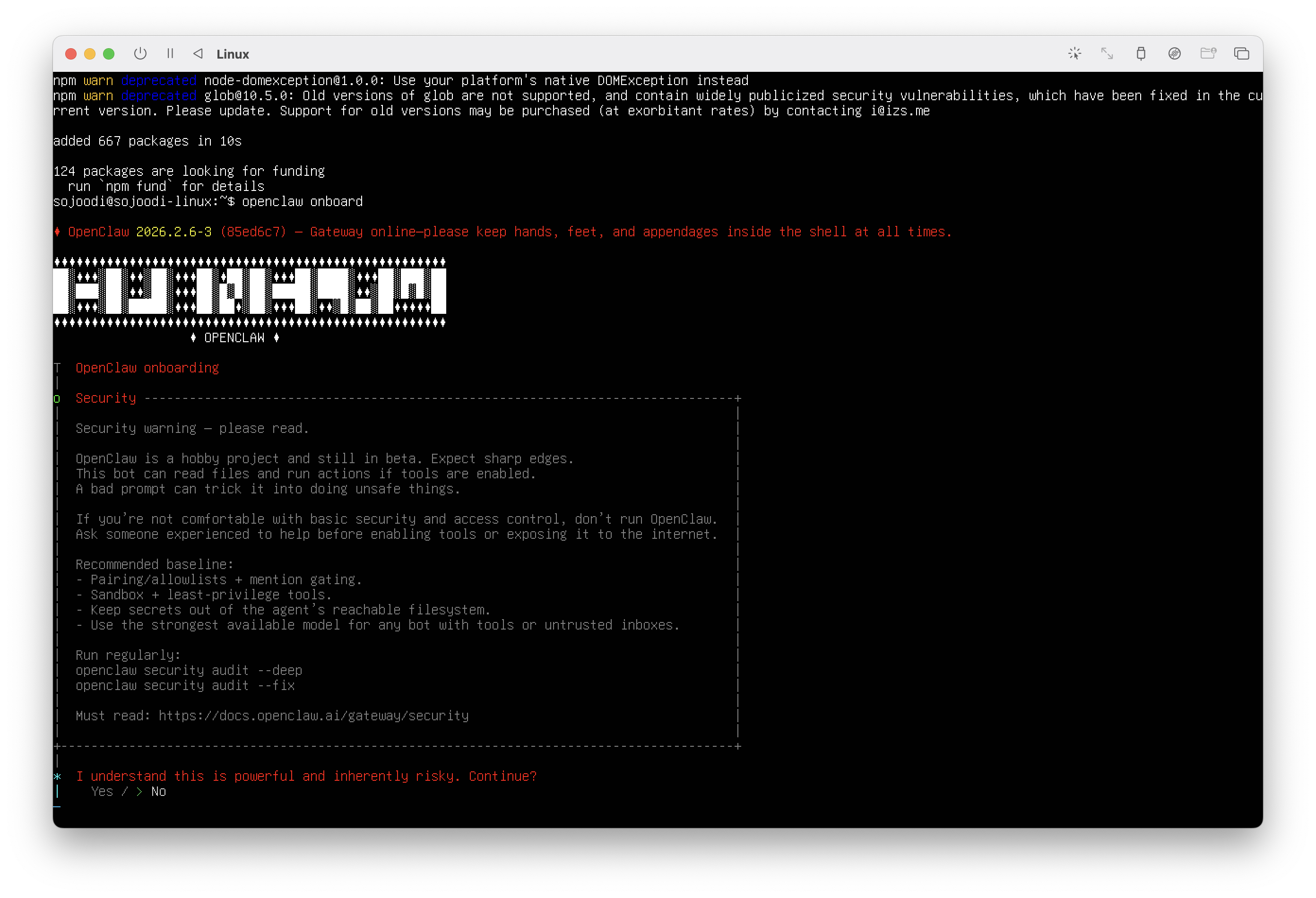 OpenClaw onboarding screen in terminal