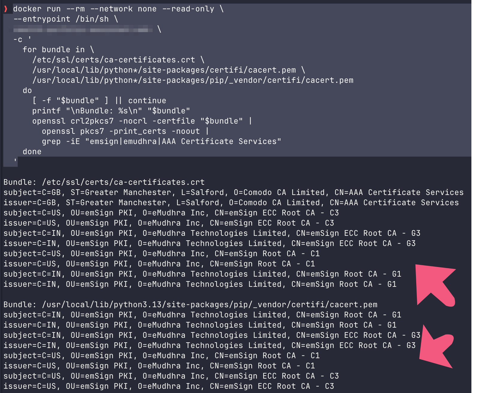 Docker certificate audit showing emSign roots and AAA Certificate Services in container CA bundles.