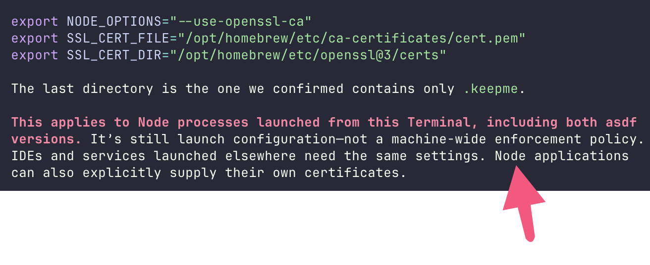 Terminal configuring Node to use the cleaned OpenSSL CA bundle, with a note about separately launched apps.